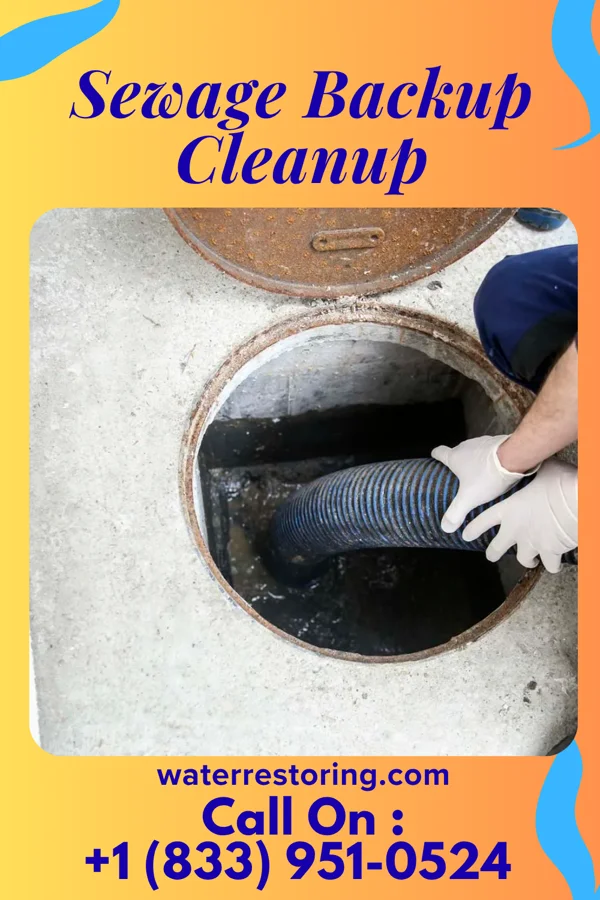 Sewage Backup Cleanup in Calumet, IA