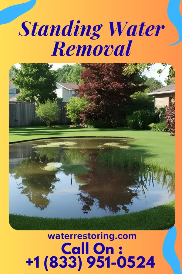 Standing Water Removal in Calumet, IA